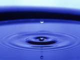 Water Drop in Blue Puddle Fotografie-Druck von Arnie Rosner