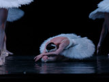 Ballet - Live Performance Reprodukcja zdjęcia autor Keith Levit Ballet - Live Performance Reprodukcja zdjęcia autor Keith Levit