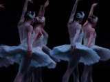 Ballet - Live Performance Lámina fotográfica por Keith Levit