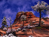 Zion National Park In The Snow, Utah Lámina fotográfica por Russell Burden