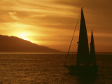 Sailboat at Sunset Photographic Print by William Swartz