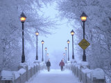 Winnipeg Manitoba, Canada Winter Scenes Lámina fotográfica por Keith Levit