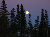 Vegetation and Moon, Lake Scenes Lámina fotográfica por Keith Levit