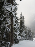 Whistler, B.C. Canada Lámina fotográfica por Keith Levit Whistler, B.C. Canada Lámina fotográfica por Keith Levit