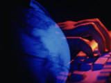 Hand on Computer Keyboard with Globe Photographic Print by Gary Conner