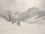 Whistler, B.C. Canada Lámina fotográfica por Keith Levit Whistler, B.C. Canada Lámina fotográfica por Keith Levit