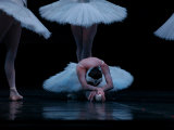Ballet, Live Performance Fotografie-Druck von Keith Levit
