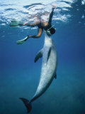 Bottlenose Dolphin, Nuweiba, Egypt, Red Sea Photographic Print by Jeff Rotman