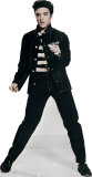 Elvis Jailhouse Rockxx Stand Up Elvis Jailhouse Rockxx Stand Up