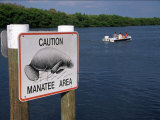 Manatee Warning Sign, Palm Island, FL Photographie par Jeff Greenberg