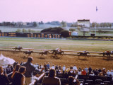 Keenland Racetrack, Lexington, KY Photographic Print by Ken Glaser