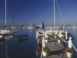 Balboa, Newport Beach, CA Photographic Print by Michele Burgess
