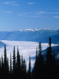 Columbia River Valley, Canada Photographic Print by Don Grall