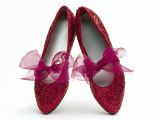 Sparkling Red Shoes Photographic Print by Howard Sokol