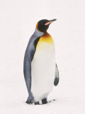 King Penguin, South Georgia Island Photographic Print by Lynn M. Stone