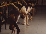 Ballet Class Photographic Print by Bill Melton