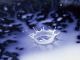 Water Drop in Blue Puddle Photographic Print by Arnie Rosner