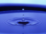 Water Drop and Ripples Photographie par Arnie Rosner
