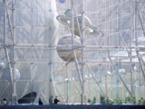 Planetarium, Museum of Natural History, NYC, NY Photographic Print by Barry Winiker