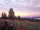 Shrine Pass, Vail, CO Photographic Print by Karen Schulman