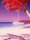Catamaran on the Caribbean Shore Photographie par Jim McGuire