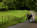 Ireland, Muckross House, Killarney- Horse and Car Lámina fotográfica por Keith Levit Ireland, Muckross House, Killarney- Horse and Car Lámina fotográfica por Keith Levit