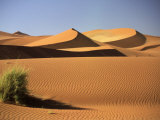 Sand Dunes in Namib Desert, Namibia Photographie par Walter Bibikow