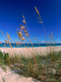 Grace Bay Beach, Turks & Caicos Islands Photographic Print by Timothy O'Keefe