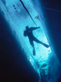 Man Diving in Water Between Ice Photographic Print by Yvette Cardozo