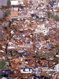 Aftermath of Hurricane, Miami, FL Photographic Print by Steve Starr