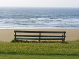 Bench Overlooking the Sea, Sutherland Photographic Print by Iain Sarjeant