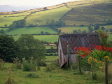 The Mourne Mts, County Down, Northern Ireland Photographie par Kindra Clineff