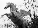 Winged Horse Statue, Mirabellgarten, Austria Lámina fotográfica por Walter Bibikow
