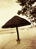 Palapa Umbrella on the Beach, Cancun, Mexico Fotografisk tryk af John Coletti