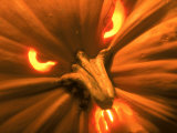 Close-up of Jack O'Lantern Photographic Print by Shmuel Thaler