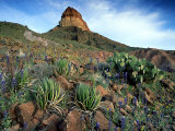 Big Bend National Park, USA Photographic Print by Olaf Broders
