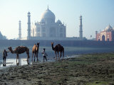 Taj Mahal, Agra, India Photographic Print by Michele Burgess