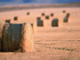 Hay, MT Photographic Print by Wiley & Wales 