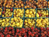 Tomatoes Pear and Red Vine-Ripened Photographic Print