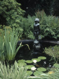 Statue in Fountain in Garden Fotografisk trykk av Jennifer Broadus Statue in Fountain in Garden Fotografisk trykk av Jennifer Broadus