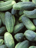 Cucumbers Photographic Print