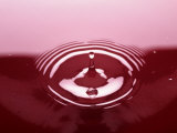 Water Drop in Red Puddle Photographie par Arnie Rosner