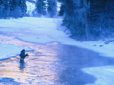Fly Fishing, Taylor River, CO Photographic Print by Tom Stillo