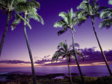 Sonnenuntergang am Poipu Beach, Kauai, Hawaii Fotografie-Druck von Elfi Kluck