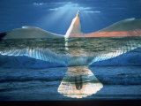 Bird Superimposed Over Ocean Photographic Print by Whitney & Irma Sevin