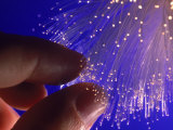 Fiber Optics Photographic Print by Matthew Borkoski
