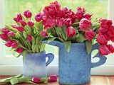 Pink Parrot Tulipa in Blue Vases with Handles, February Photographie par Lynne Brotchie
