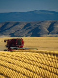 Farm Machinery Photographic Print