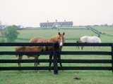 Woodford County Horse Farms, KY Photographie par Jim Schwabel