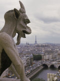 Gargoyle, Notre Dame, Paris, France Fotografie-Druck von Alan Veldenzer